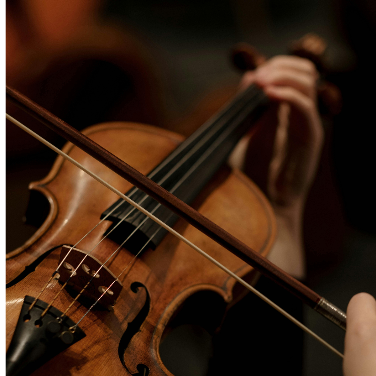 Somos Música