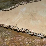Salón Anual Nacional MMAV | Muestra
