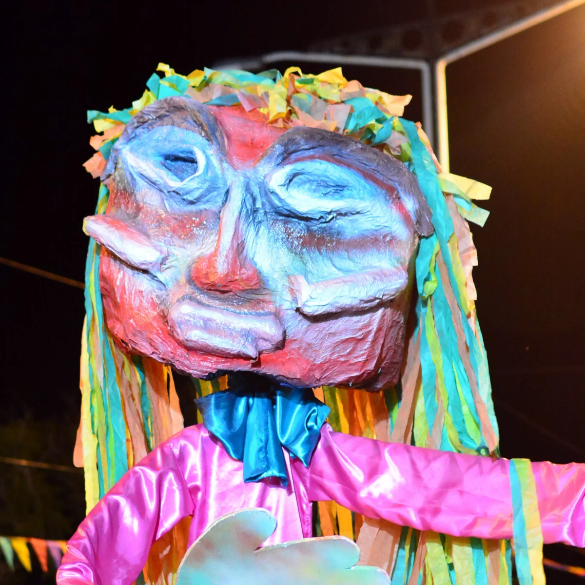Carnabarriales | Villa del Parque