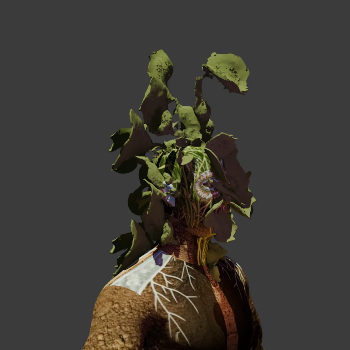 Ecologías de umbral | Activación