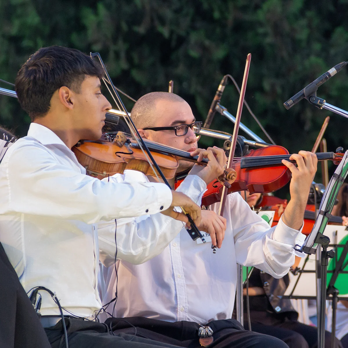 Somos Música en la Redonda