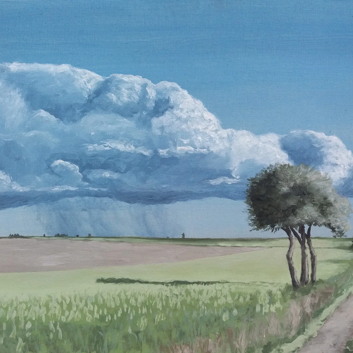 Manto de pampa y cielo II | Muestra